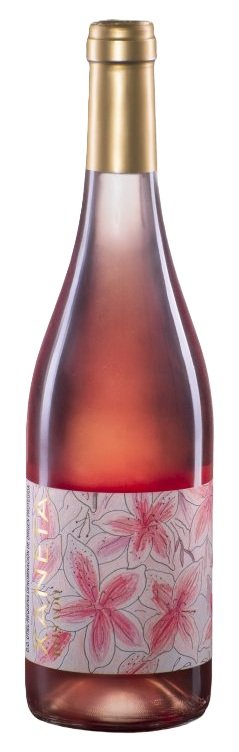 Botella de XANETA Rosado Bobal, Utiel-Requena, España